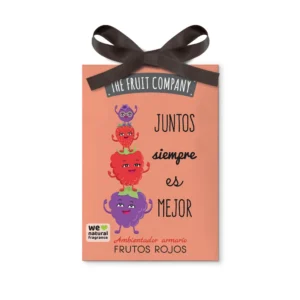 Ambientador de Armario Frutos Rojos