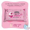 Toallitas Fresa Nata Manos Cara + WC 15UDS
